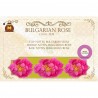 BULGARIAN Rose